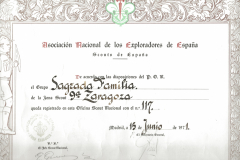 DIPLOMA-REGISTRO-SAFA